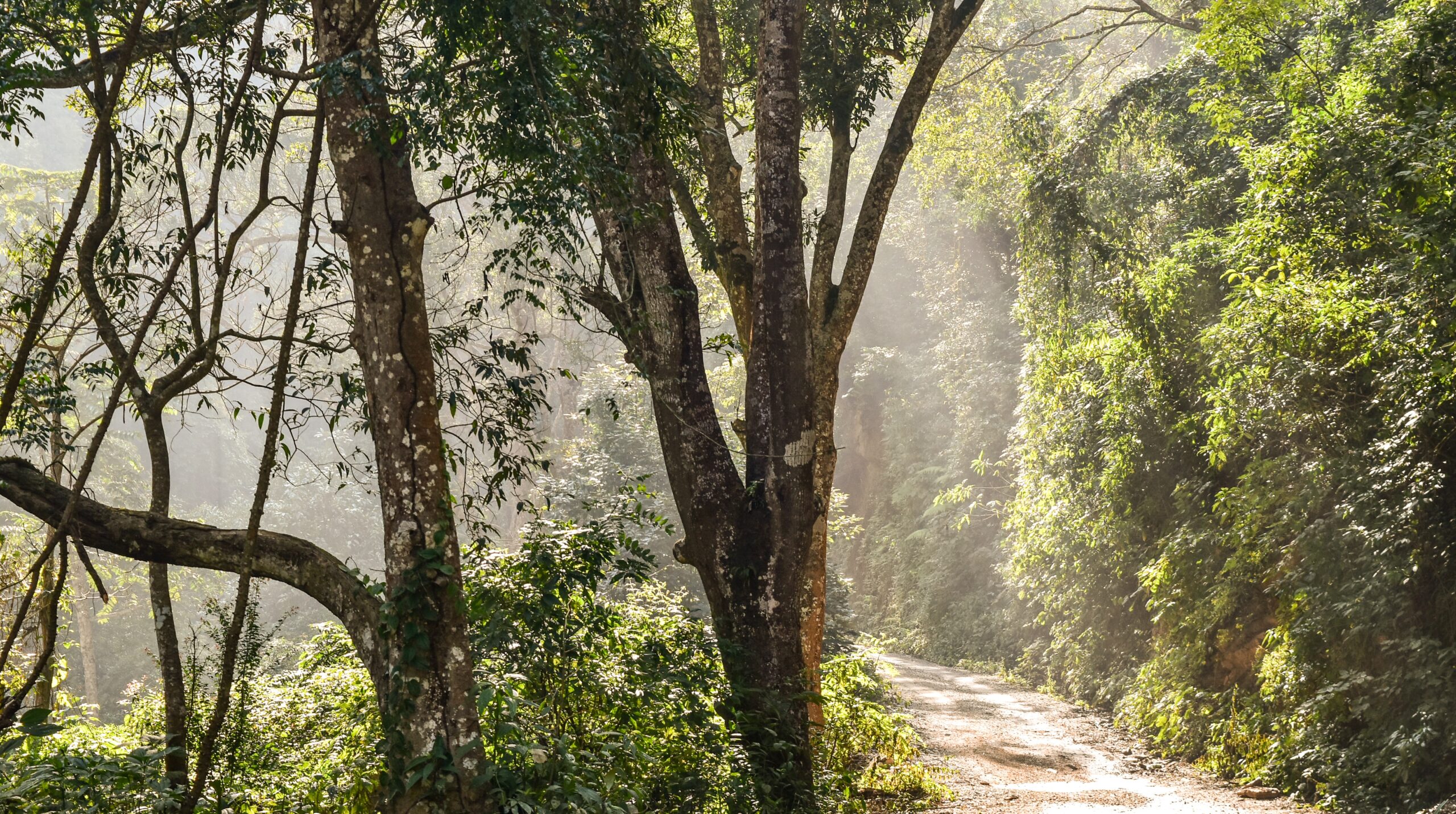 5 Locations in the Middle of Nature for a Weekend for Two or with the Family