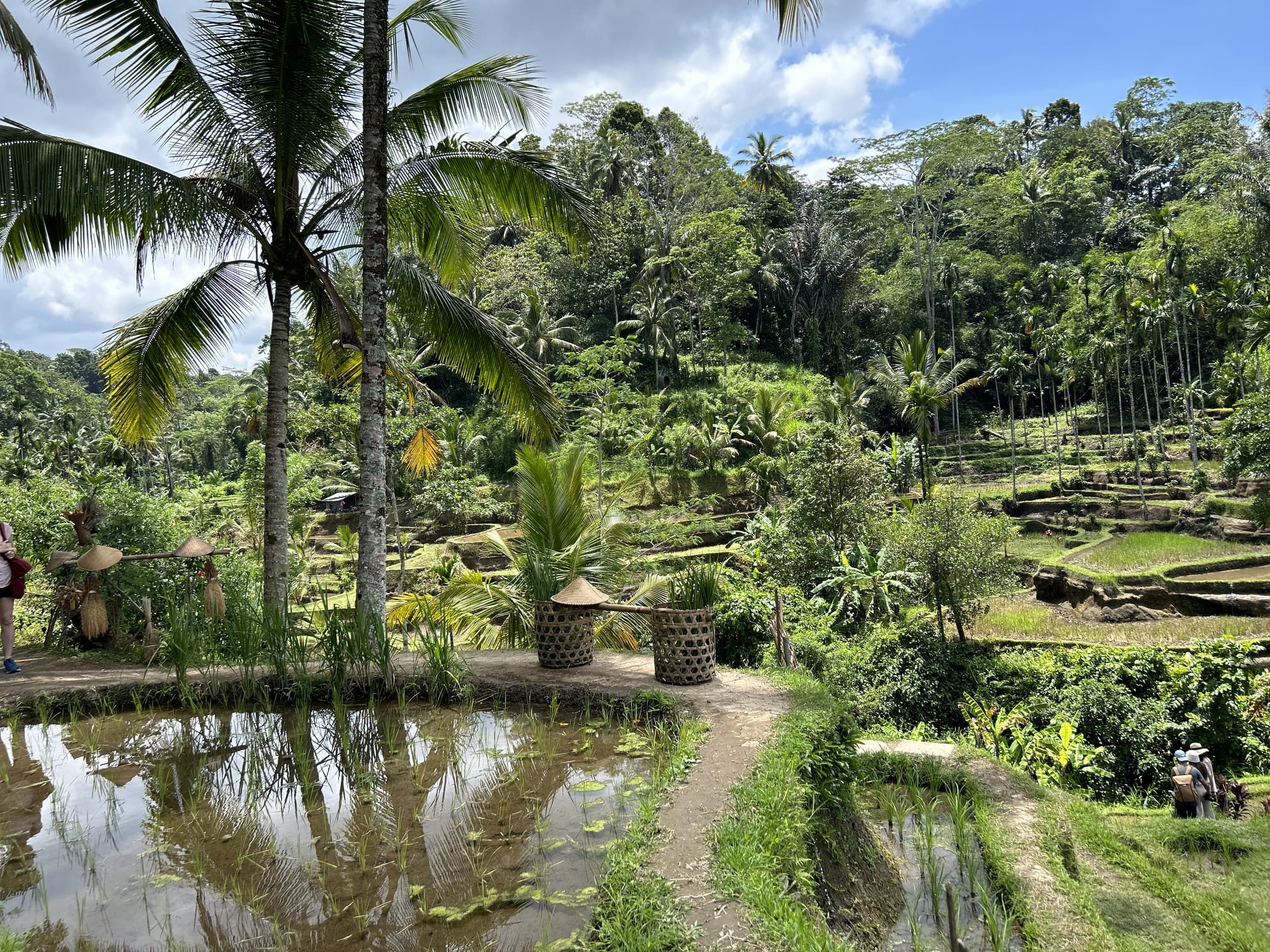 Ce să vizitezi în Bali ?